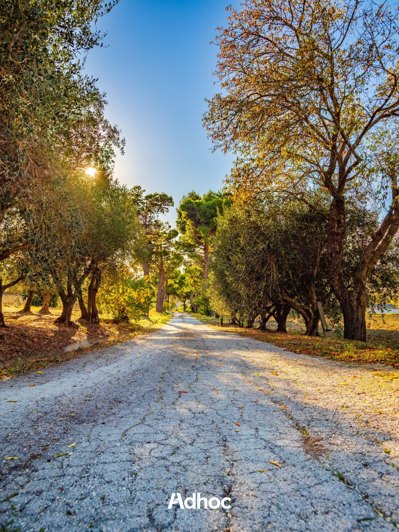 Piano Terra - Camera doppia